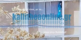 Ειδικών