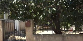 πατέρα