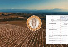 ΟΠΕΚΕΠΕ: Η «θαμμένη» έκθεση για τα πρόβατα στην Κρήτη που αναπαράγονταν με ρυθμούς «εντόμων» ΟΠΕΚΕΠΕ