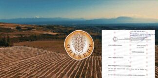 ΟΠΕΚΕΠΕ: Η «θαμμένη» έκθεση για τα πρόβατα στην Κρήτη που αναπαράγονταν με ρυθμούς «εντόμων» ΟΠΕΚΕΠΕ