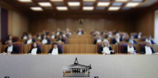 ΣτΕ Ολομέλεια