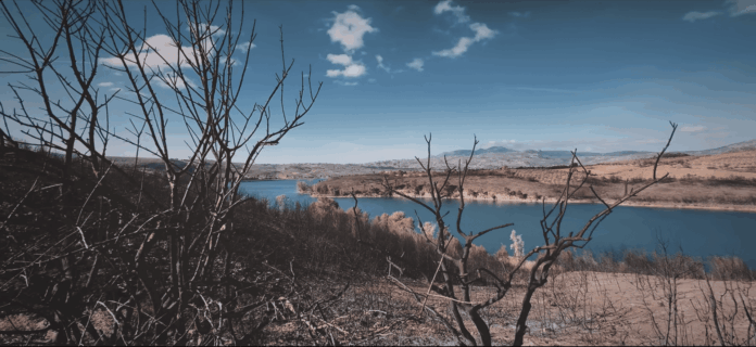 Φλόγες Φλόγες