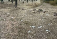 Λόφος Κόκκου: Σκουπιδότοπος η αναδασωτέα έκταση στο Γαλάτσι – Προκαταρκτική εξέταση, στο μικροσκόπιο η αδράνεια των αρμόδιων αρχών Λόφος Κόκκου