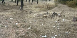Λόφος Κόκκου: Σκουπιδότοπος η αναδασωτέα έκταση στο Γαλάτσι – Προκαταρκτική εξέταση, στο μικροσκόπιο η αδράνεια των αρμόδιων αρχών Λόφος Κόκκου