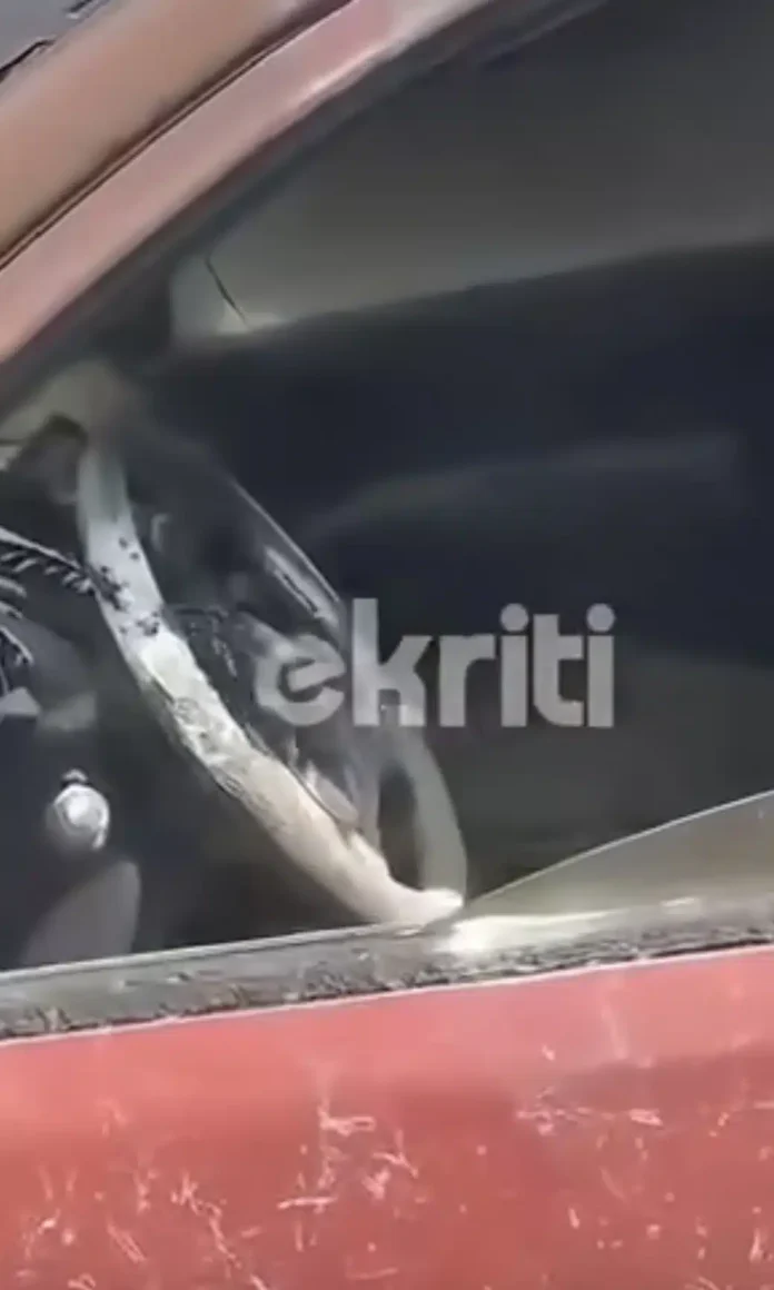φωτιά στο Ρέθυμνο, πυροσβέστες