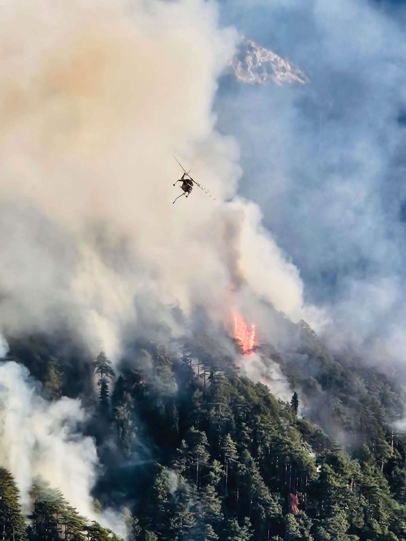Τραπεζίτσα Κόνιτσας: 28 χρόνια δασοπυρόσβεσης χωρίς επιχειρησιακή πρόσβαση – Πού είναι ο σχεδιασμός για την αντιμετώπιση μιας πυρκαγιάς σε δυσπρόσιτη περιοχή;