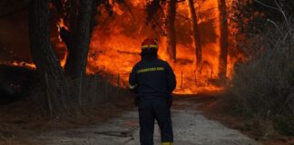 ΔΕΔΔΗΕ: Οι αριθμοί για τις πυρκαγιές που εκθέτουν τα υπουργεία Δικαιοσύνης και Πολιτικής Προστασίας για την εξαίρεση από το αυτόφωρο ΔΕΔΔΗΕ, τροπολογία